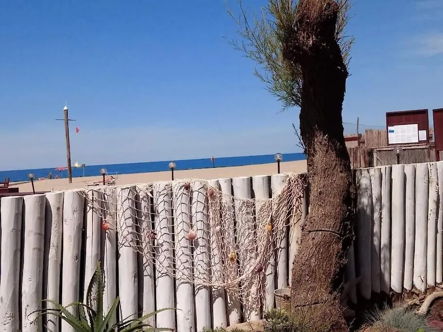 Casa Sulla Spiaggia Seaview-Breathtaking Focene Italy